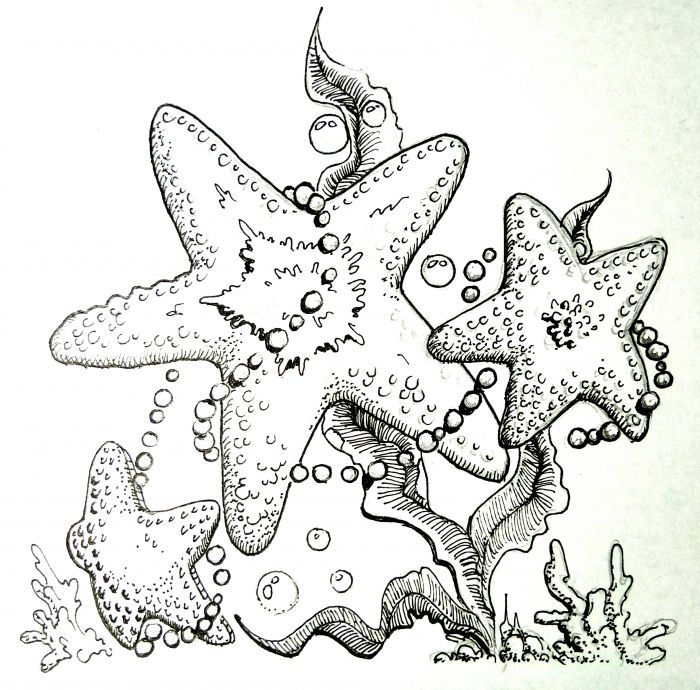 Starfish and Pearls by Marose